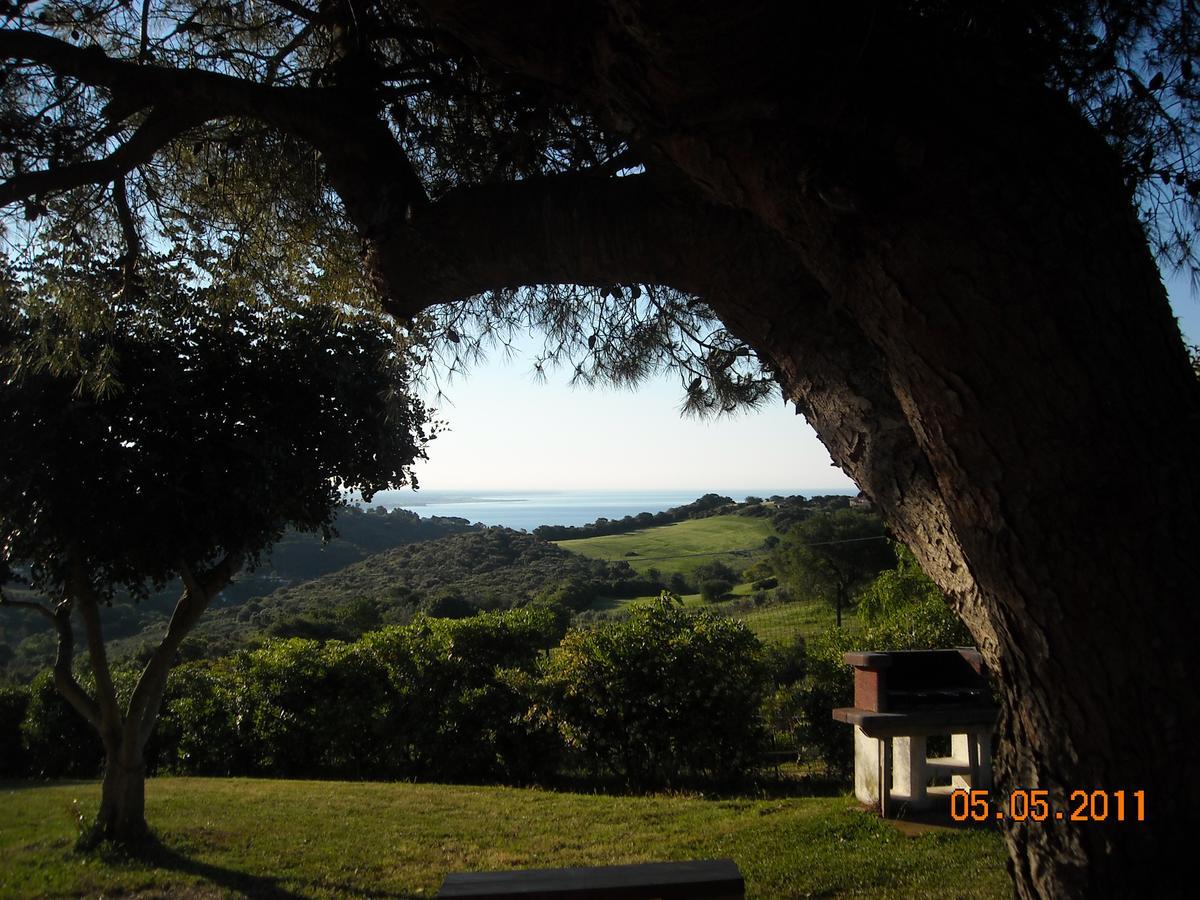 Bed & Breakfast La Volpe E L'Uva ซันตามารีเนลลา ภายนอก รูปภาพ